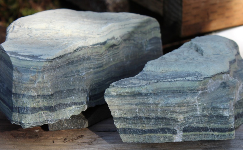 Samples of Argillite perhaps from Pacific Northwest US